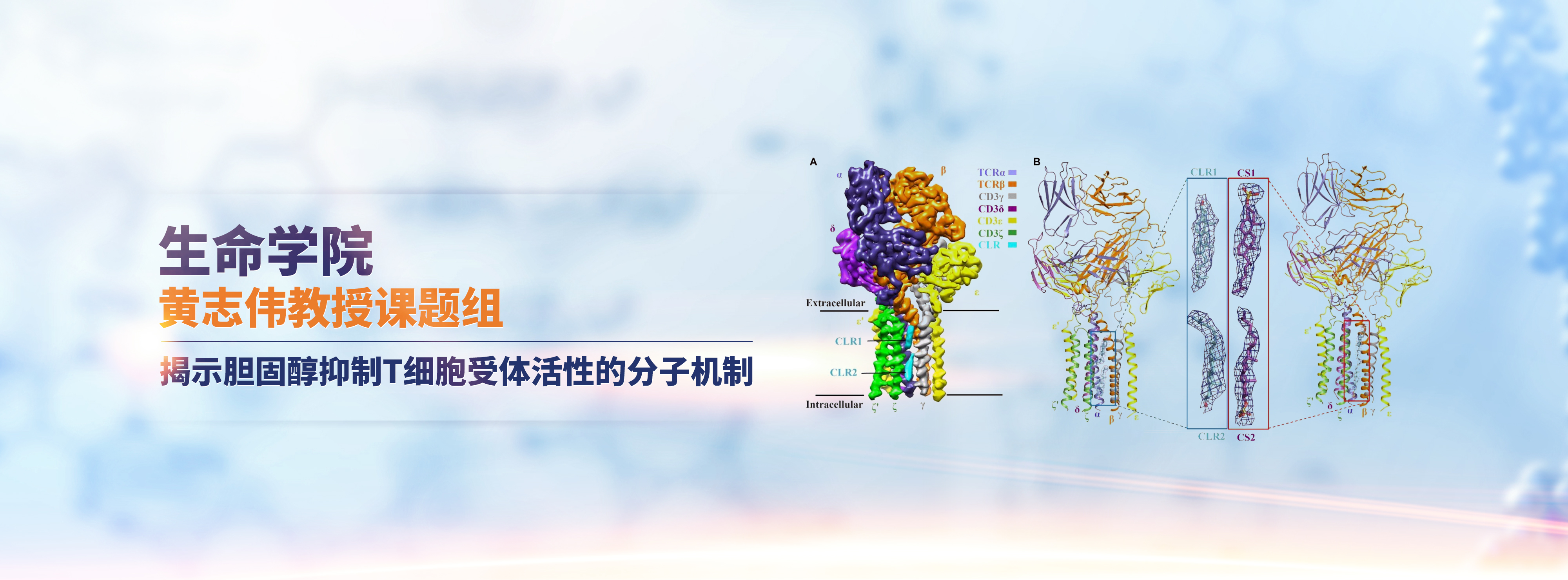 澳门精准马料